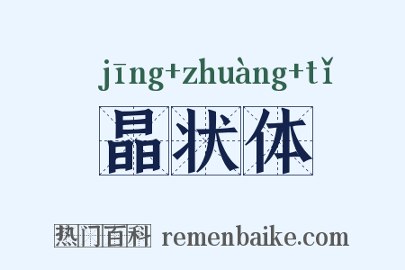 晶状体是什么意思的图片